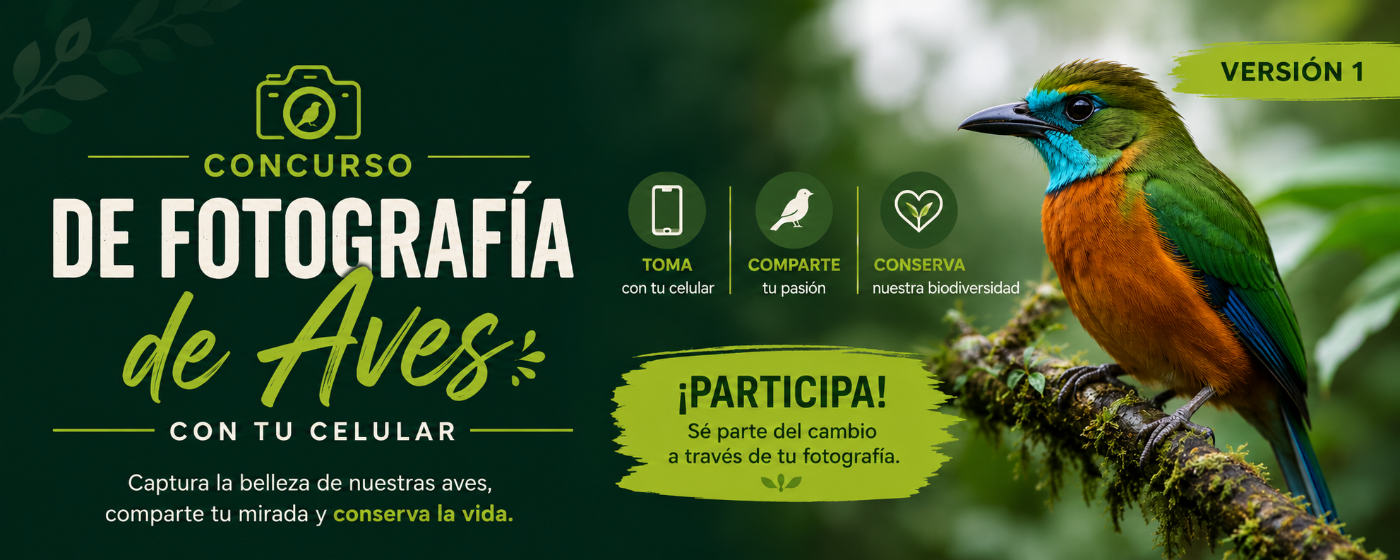 Concurso fotografía